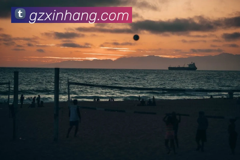 emc体育官方网发展历程